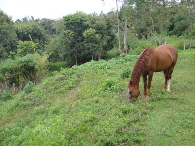 Vereda Bike Park Hotel São João del Rei Dış mekan fotoğraf