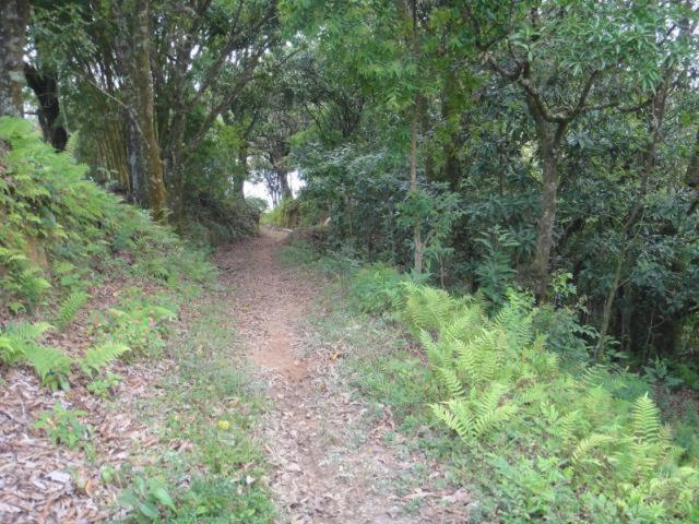 Vereda Bike Park Hotel São João del Rei Dış mekan fotoğraf